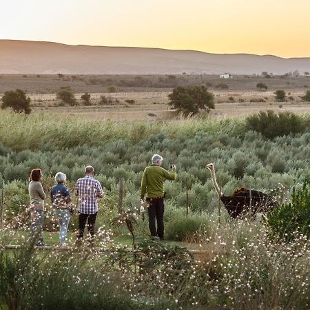 De Denne Country Guest House Oudtshoorn Luaran gambar