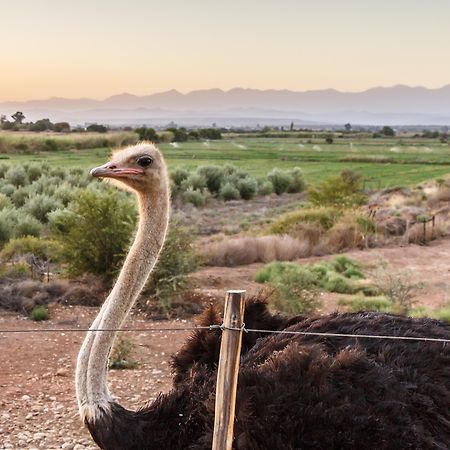 De Denne Country Guest House Oudtshoorn Luaran gambar
